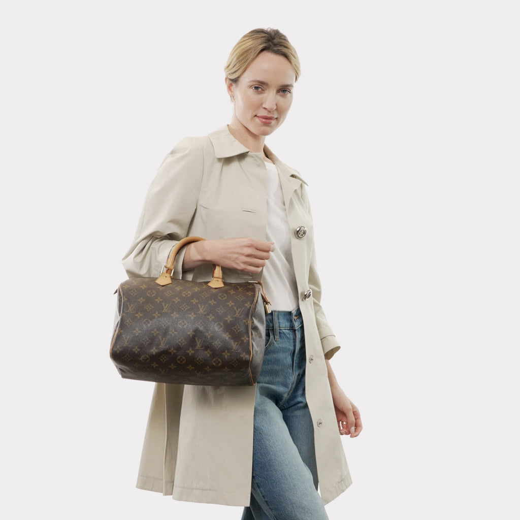 Louis Vuitton Speedy Handbag Damier 30