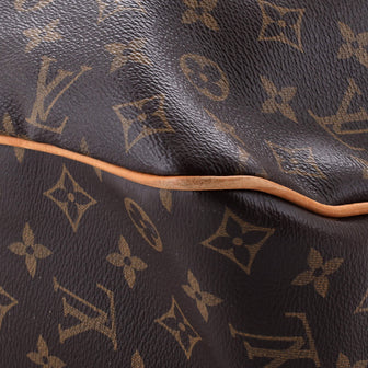 Louis Vuitton Delightful NM Handbag Monogram Canvas PM