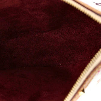Louis Vuitton Pochette Accessoires Monogram Multicolor