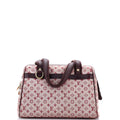 Louis Vuitton Josephine Handbag Mini Lin PM