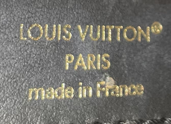Louis Vuitton LV Twinny Handbag Monogram Canvas and Reverse Monogram Canvas with Leather