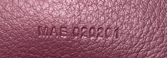 Goyard Alpin Backpack Coated Canvas Mini