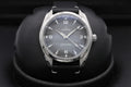 Omega Seamaster Railmaster 235.12.38.20.06.001